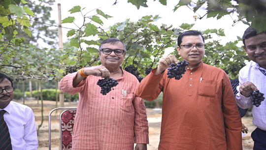 Minister Ratan Lal Nath Hails Grape 