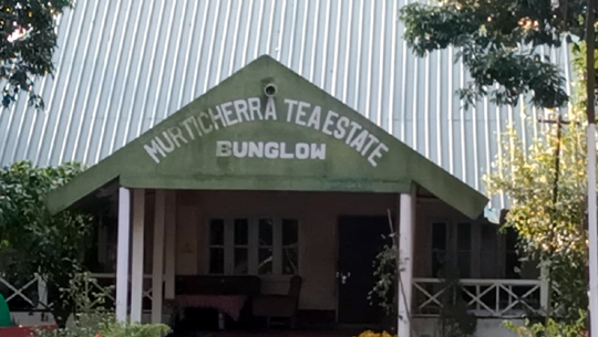 Centuries-old tea estate in Tripura shutdown for indefinite period following attack on managers
