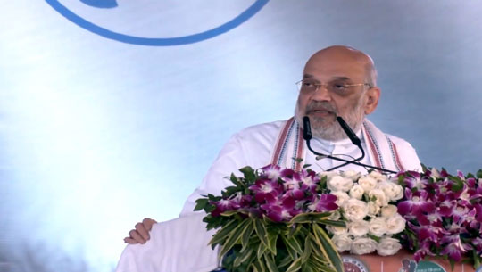 Cattle Rearers To Gain Most From Cooperation Ministry, Says Amit Shah
