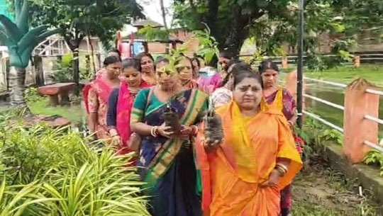 Over 200 trees planted in Ward 20 as