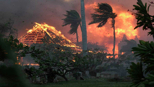 At least 36 people dead in wildfires on Hawaiian island of Maui