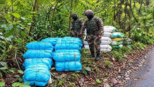 Assam Rifles, Customs Seize Ganja Wo