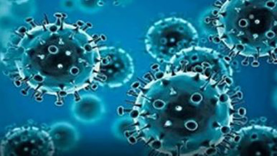 Arunachal reports first COVID-19 case of current wave