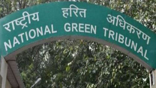NGT Seeks Report on Elephant Deaths in Assam Train Collision