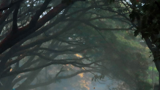 Mizoram Schools Shut for Second Day Amid Heavy Rains