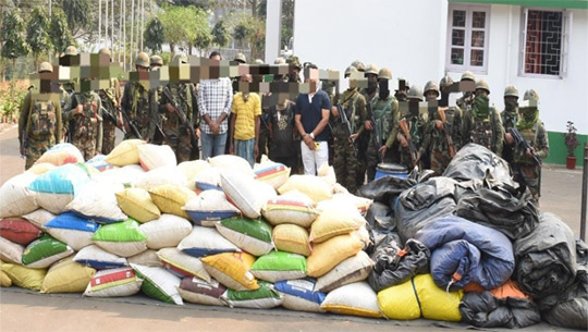 War on Drugs: AR Seizes marijuana worth over Rs 10 Cr