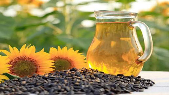 Mizoram: Khawzawl launches local sunflower oil
