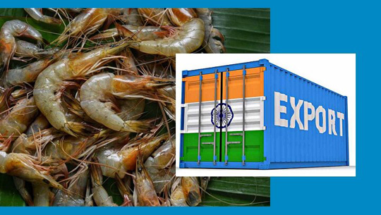 India exports Rs 40,000 crore of prawns to US: Union Minister George Kurian