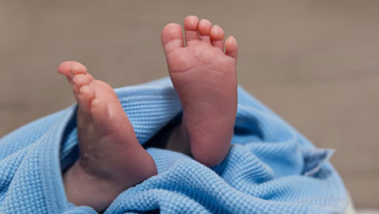 Mizoram Records 1,845 Births and 720 Deaths in January 2026