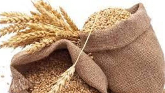 Govt decides to sell wheat flour to consumers at rate of Rs 29.50 per kg