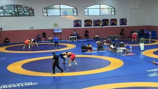 Ad Hoc Committee for Wrestling to organize national championships for U-15 and U-20 categories within next six weeks