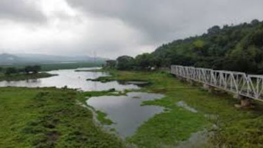 NGT Takes Suo Motu Cognisance of Pollution at Deepor Beel
