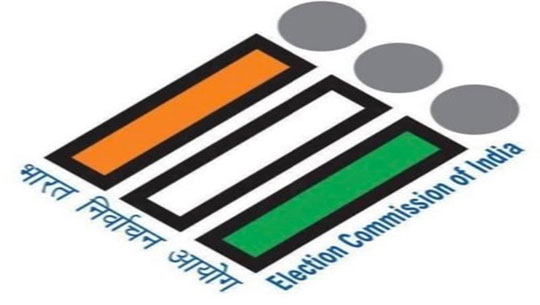LokSabha Election 2024: ECI Gives Right To Vote from Home to Voters above 85 Years Of Age