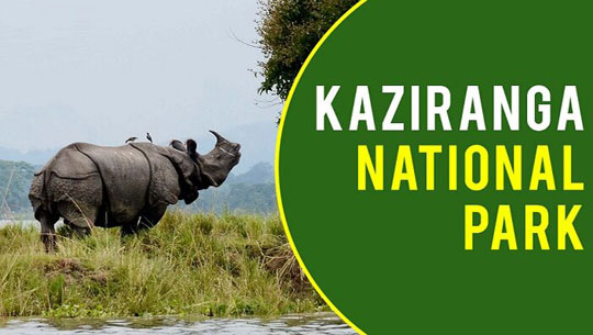 Kaziranga National Park opens for tourists for 2023-24 season