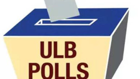 Nagaland: Counting Of Votes to ULB Election to Three Municipalities & 21 Town Councils Begins