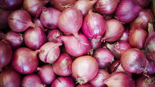 Govt Scraps Minimum Price Threshold for Onion Exports