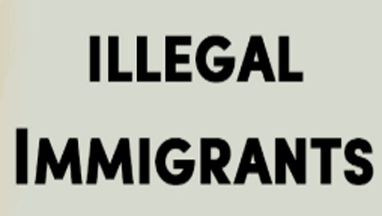 Police forms Special Task Force to crack down on illegal immigrants