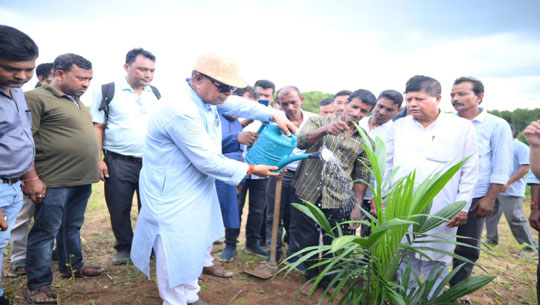 Palm oil plantation drive aims at sustainable development, says Minister Ratan Lal Nath