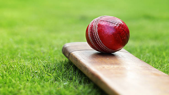WTC Final: 14 wickets fall on day 1 as Australia bowled out for 212, South Africa struggle at 43/4