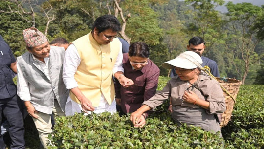 MP Biplab Kumar Deb Visits Makaibari Tea Estate in Kurseong