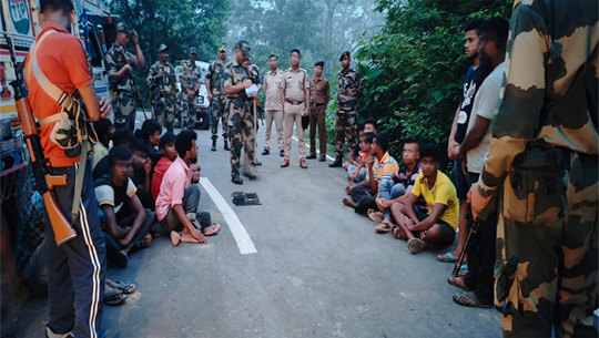 BSF seizes large amount of cattle enroute to Tripura from Assam