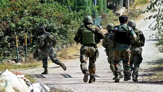 Two terrorists killed in overnight operation by security forces in Poonch district of Jammu and Kashmir