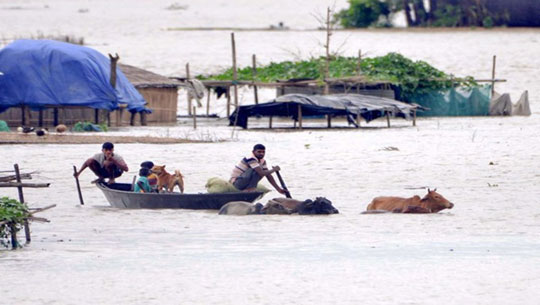 Flood situation turns critical in Assam