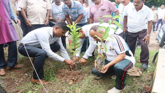 AR organizes Tree Plantation Drive