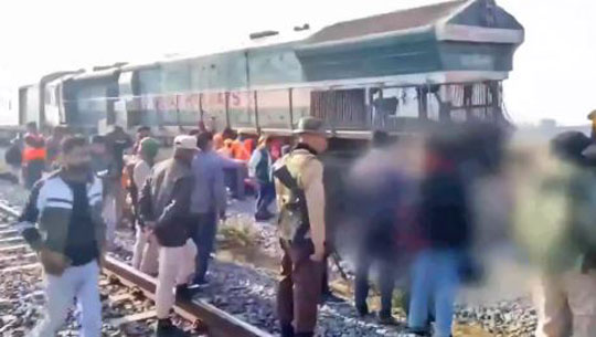 Rajdhani Express Ploughs Into Elephant Herd in Assam, Seven Jumbos Killed