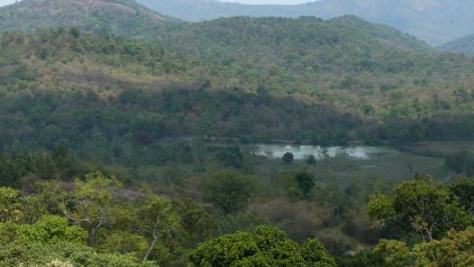 Tripura reports over 1,000 hectares 