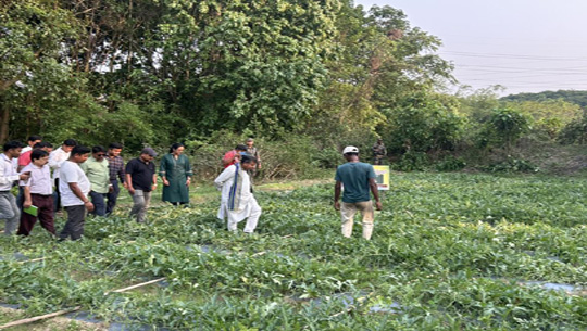 Agriculture Minister Ratan Lal Nath visits watermelon cultivation