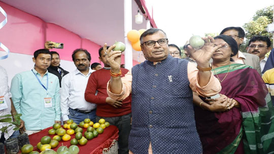 State Expands Orange Cultivation Eff