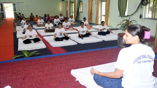 BSF celebrates 10th International Day of Yoga