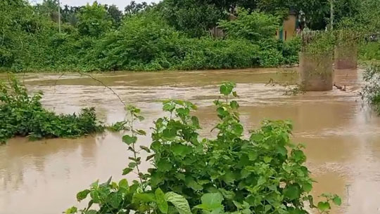 7 dies as heavy shower hits Tripura 