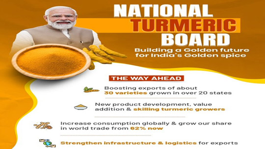 PM Modi Lauds Establishment of National Turmeric Board