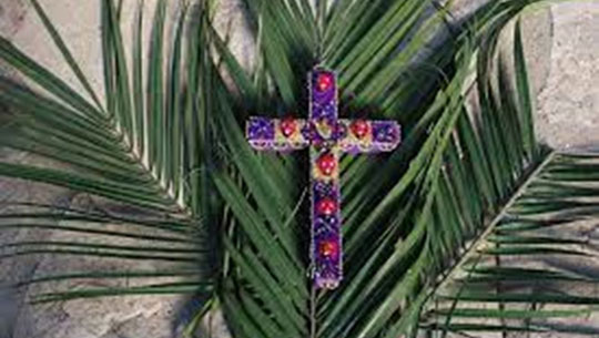 Palm Sunday Celebrated With Religious Fervour and Enthusiasm In Mizoram