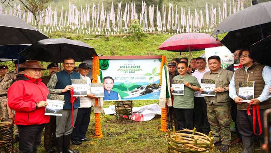 Sikkim launches Mission Million Oak Trees